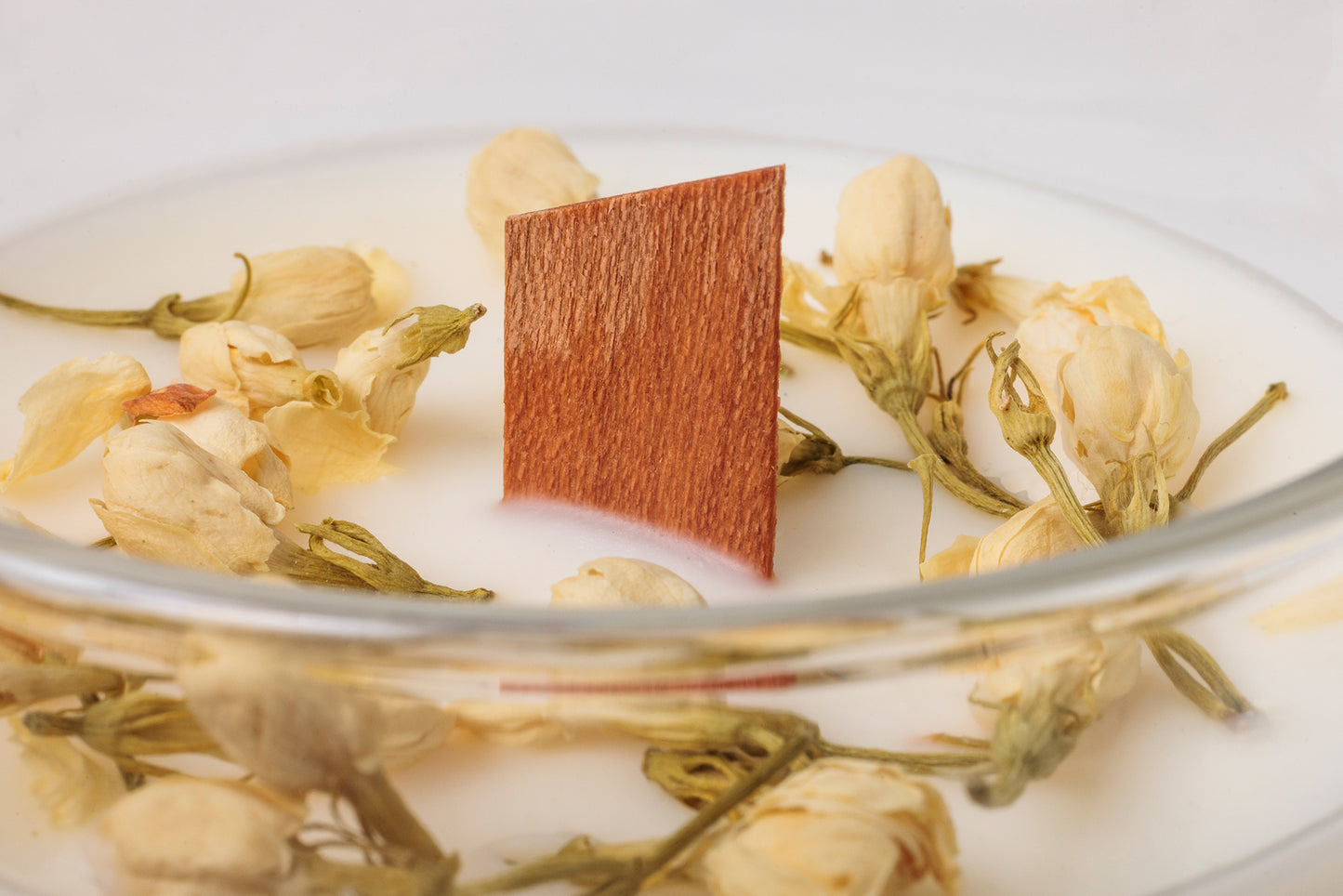 Warm Grove (Teplý háj)