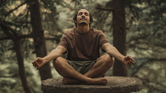 man in brown crew neck t-shirt sitting on brown wooden log