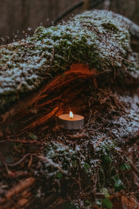 a lit candle sitting on top of a moss covered ground