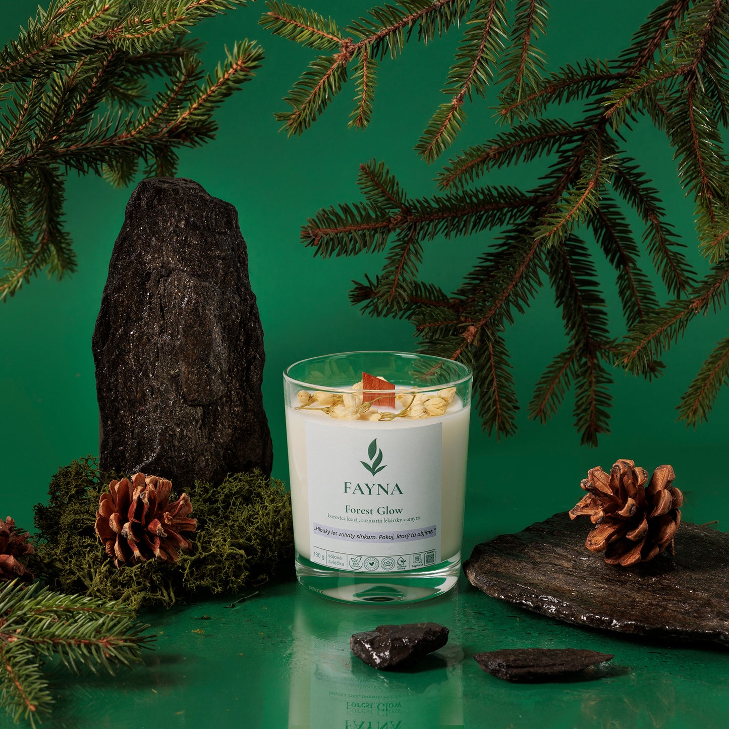 Forest Glow (Lesný svit)