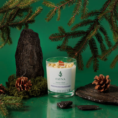 Forest Glow (Lesný svit)